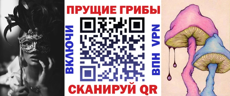 как найти   Купино  Галлюциногенные грибы MAGIC MUSHROOMS 